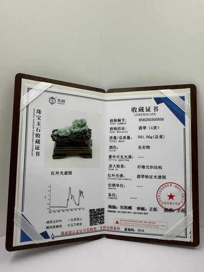 Jade Cabbage Display 翡翠玉A货 - Bai Cai 白菜